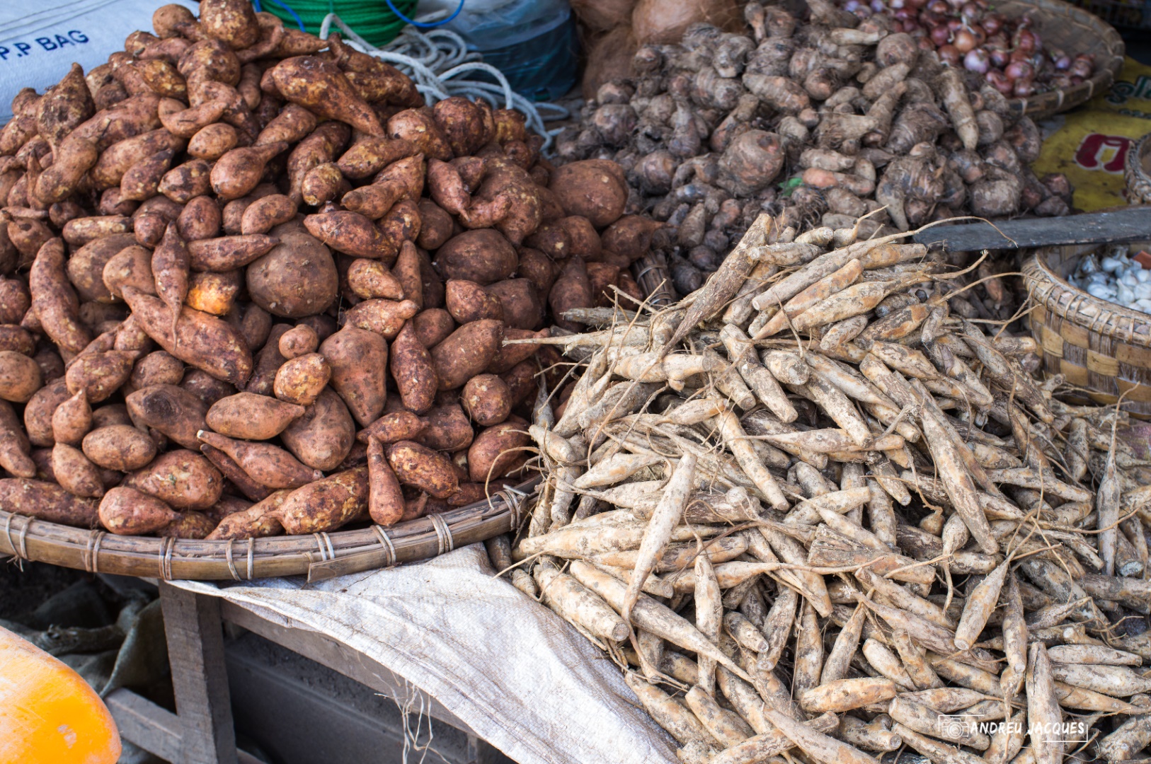 birmanie-148 (Grand).jpg